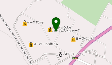 カルディコーヒーファームおやまゆうえんハーヴェストウォーク店の地図画像