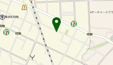 アイン薬局 矢向店の地図画像