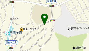 三聖堂薬局 自由ケ丘店の地図画像