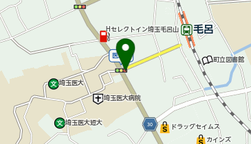 アイン薬局 毛呂本郷店の地図画像