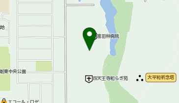 アイン薬局 富田林病院店の地図画像