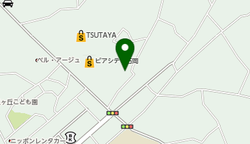 ワッツウィズ石岡中央セイジョー店の地図画像