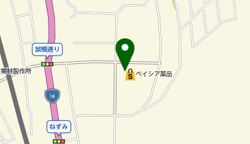 ワッツウィズ坂城ベイシア店の地図画像