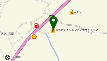 ワッツウィズ大矢野キャモン店の地図画像