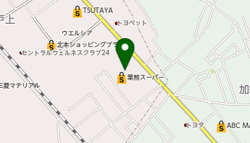 ワッツウィズ業務スーパー北本二ツ家店の地図画像