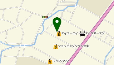 ワッツウィズ新潟中条ダイユーエイト店の地図画像