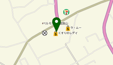 ワッツウィズ飯山くすりのレデイ店の地図画像