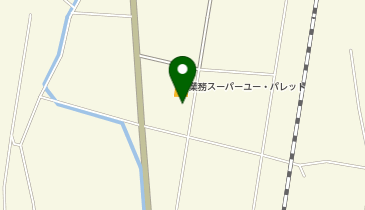 ワッツウィズ臼田アメリカンドラッグ店の地図画像