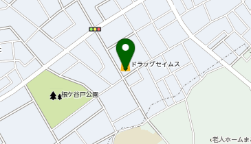 ワッツウィズ蓮田馬込セイムス店の地図画像