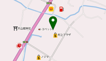 ワッツ村上プラザ店の地図画像
