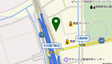 ワッツ新潟中央インター店の地図画像