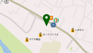 ワッツウィズ仙台若林4丁目セイムス店の地図画像
