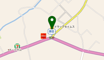 ワッツウィズ小鹿野町セイムス店の地図画像