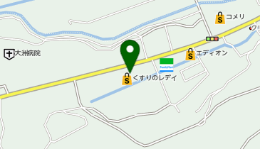 ワッツウィズ西大洲くすりのレデイ店の地図画像