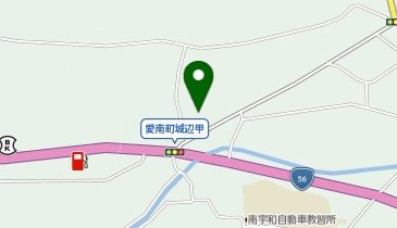 ワッツウィズ愛南くすりのレデイ店の地図画像