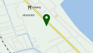 ワッツウィズ横須くすりのレデイ店の地図画像