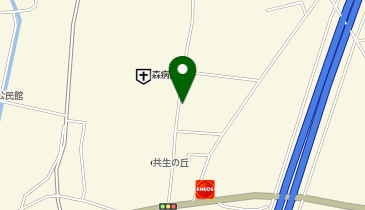 クオール薬局 アルファーム薬局 飯田店の地図画像