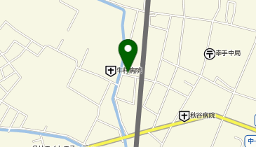 さくら薬局 幸手中店の地図画像