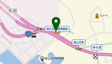 餃子の王将 海南店の地図画像