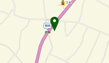 アメリカンドラッグ 飯田桐林店の地図画像