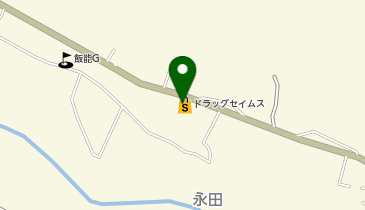 ドラッグセイムス 飯能永田店の地図画像