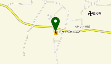 ドラッグセイムス 飯能岩淵店の地図画像