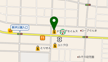 ドラッグセイムス 太田新井町店の地図画像