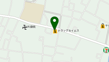 ドラッグセイムス 大久保店の地図画像