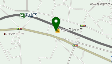 ドラッグセイムス 堤町店の地図画像