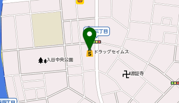 ドラッグセイムス 入谷舎人店の地図画像