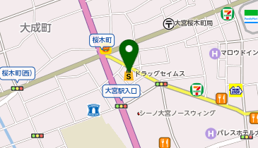 ドラッグセイムス 大宮桜木店の地図画像