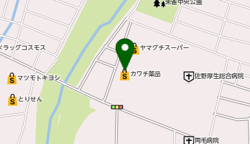 カワチ薬品 佐野西店の地図画像