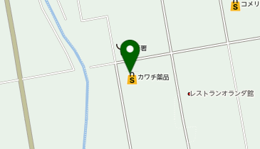 カワチ薬品 矢板南店の地図画像