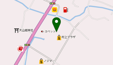 カーブス 村上プラザの地図画像