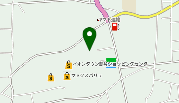 カーブス イオンタウン読谷の地図画像