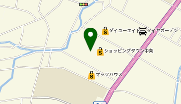 カーブス イオン中条の地図画像