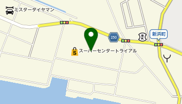 WASHハウス トライアル八代店の地図画像