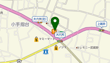 リンガーハット 埼玉所沢店の地図画像