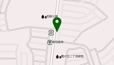 個別指導塾・学習塾のスクールIE スクールIE 松陵校の地図画像