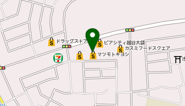 浦和美園 駅 周辺の100円ショップ Navitime