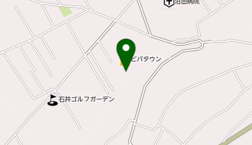 ベルク 沼田店の地図画像