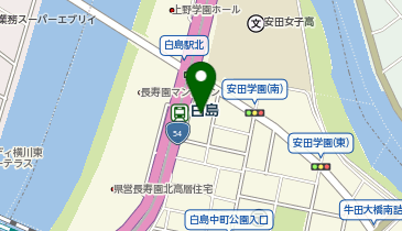 東進ハイスクール  東進衛星予備校 白島駅前校の地図画像