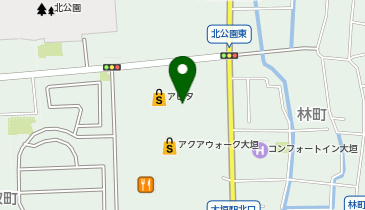 スガキヤ 大垣アピタ店の地図画像