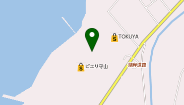 スガキヤ ピエリ守山店の地図画像