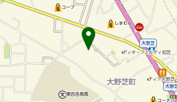 カースタレンタカー 大野芝店の地図画像