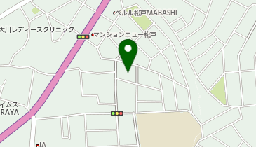 カースタレンタカー 松戸馬橋店の地図画像