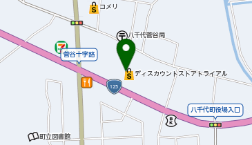 ディスカウントストアトライアル 菅谷店の地図画像