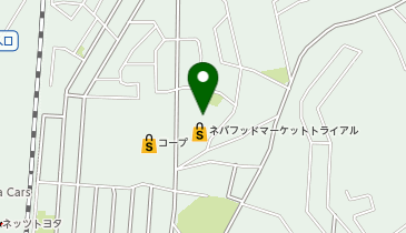 ネバフッドマーケットトライアル 牛久店の地図画像