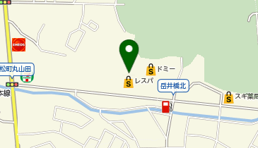 リカーマウンテン 岡崎若松店の地図画像