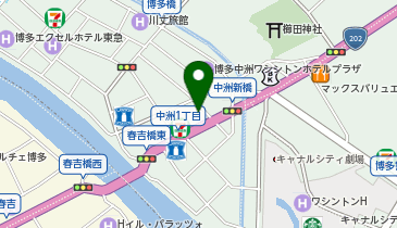 リカーマウンテン 中洲国体道路店の地図画像
